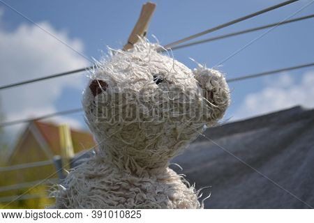 The teddy bear is hanging from the rope in the housing