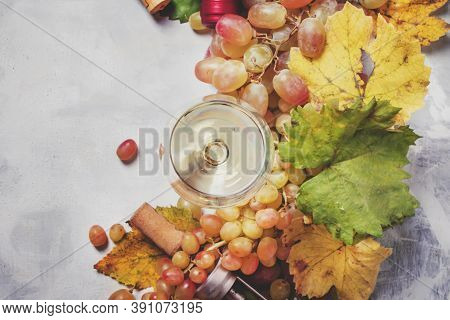 Dry White Wine In Glass And Bottle, Fresh Gpare, Frame, Drink Backround, Top View