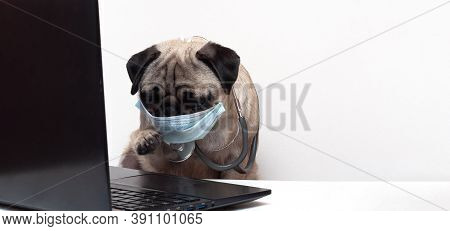 Pug Dog In Medical Mask And With Stethoscope Works As A Doctor At A Laptop. Concept Of A Doctor Dog.