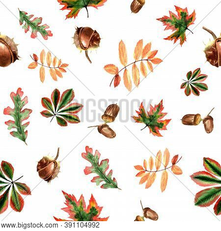 Watercolor Autumn Pattern Chestnut, Maple, Oak, Acorn Leaves In Autumn