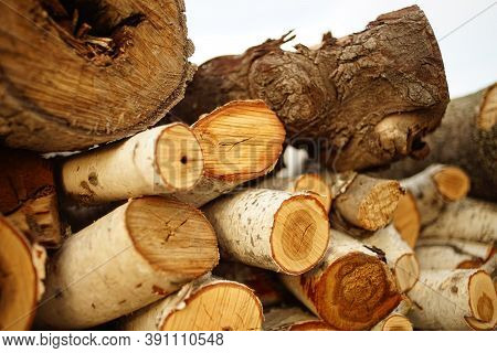 Fresh Stack Of Wood Logs For The Winter