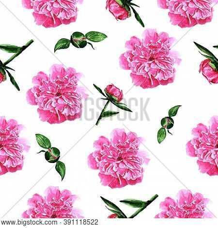 Pattern With Peonies Pink Peonies On A White Background Peonies In Watercolor