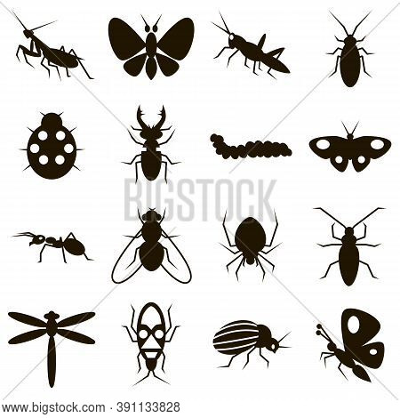 Black Icons On White Background Different Insects