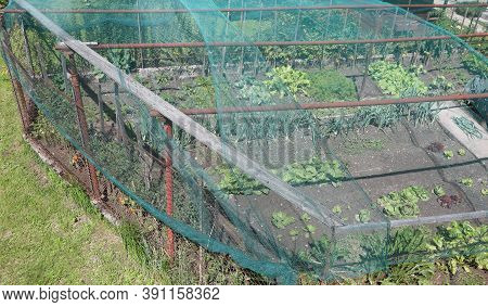 Special Net Antihails And The Vegetable Garden