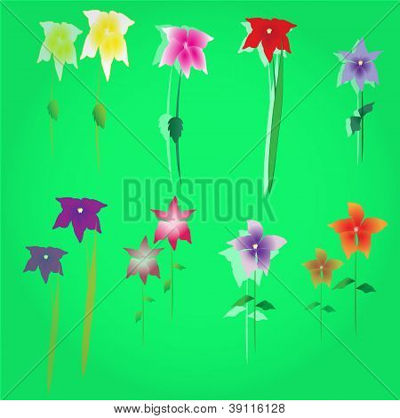 Flores