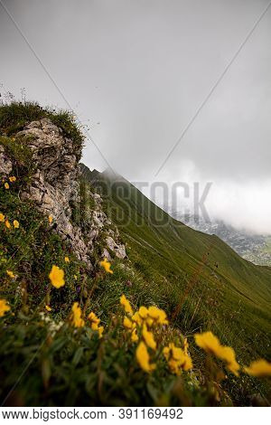 Panoramic View Of A High Altitude Meadow, Of The Swiss Alps, Colorful Flowers In The Foreground.