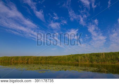 Scenic Landscape On The Calm Lake Overgrown With Water Lilies,  Surrounded By Reeds. Beautiful Cloud