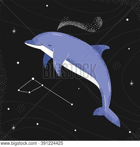 Blue Dolphin Flying In The Night Starry Sky. Delphinus Constellation.