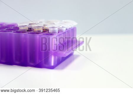 Micro Centrifuge Tube With Blood Sample In Solution, For Testing Anti-biotic With Tips Micropipette 