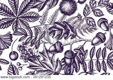 Artistic Seamless Pattern With Fern, Dog Rose, Rowan, Ginkgo, Maple, Oak, Horse Chestnut, Chestnut H