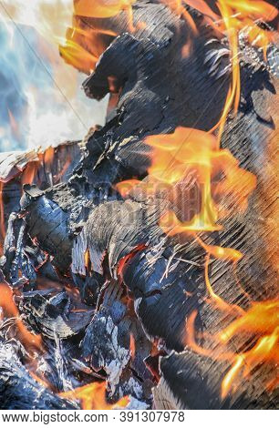 Birch Firewood Brightly Burning In Fire  Symbolsmetaphors