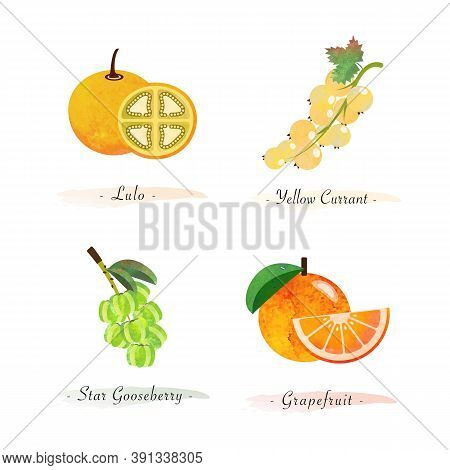 Organic Nature Healthy Food Fruit Lulo Yellow Currant Star Gooseberry Grapfruit