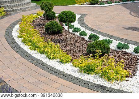 Landscape Design. Landscape Design With Plants, Tree Bark And White Pebbles