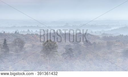 Panoramic View Over A Forest Landscape In Fog In Early Morning, The Netherlands