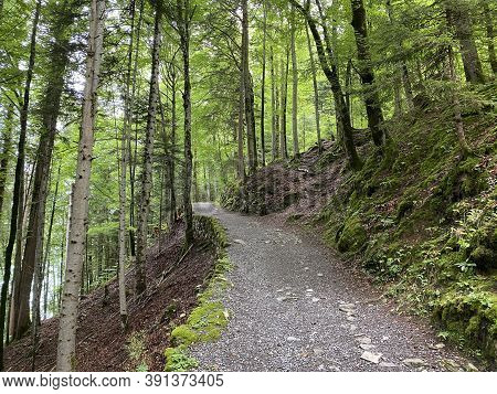 Trails For Walking, Hiking, Sports And Recreation Along The Waterfalls Giessbach Falls And In The Cr