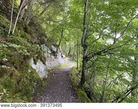 Trails For Walking, Hiking, Sports And Recreation Along The Waterfalls Giessbach Falls And In The Cr
