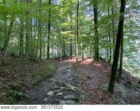 Trails For Walking, Hiking, Sports And Recreation Along The Waterfalls Giessbach Falls And In The Cr