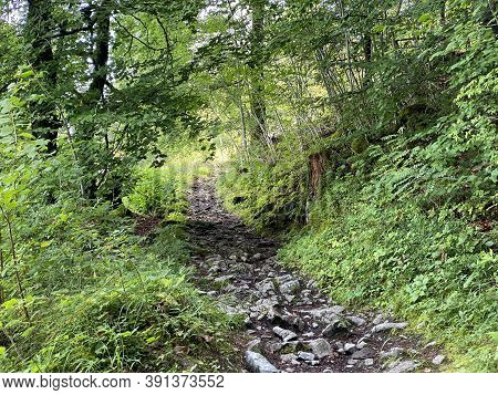 Trails For Walking, Hiking, Sports And Recreation Along The Waterfalls Giessbach Falls And In The Cr