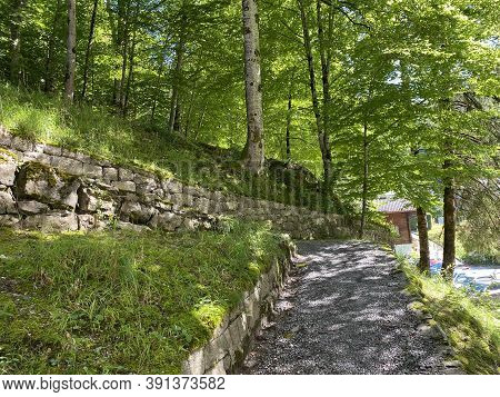 Trails For Walking, Hiking, Sports And Recreation Along The Waterfalls Giessbach Falls And In The Cr