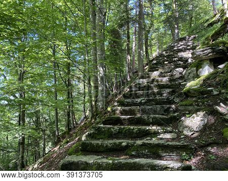 Trails For Walking, Hiking, Sports And Recreation Along The Waterfalls Giessbach Falls And In The Cr