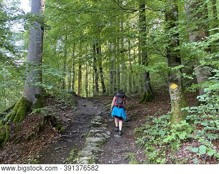 Mountaineering Signposts And Markings Along The Waterfalls Giessbach Falls And In The Creek Valley, 