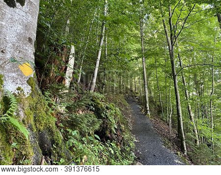 Mountaineering Signposts And Markings Along The Waterfalls Giessbach Falls And In The Creek Valley, 