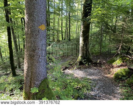 Mountaineering Signposts And Markings Along The Waterfalls Giessbach Falls And In The Creek Valley, 