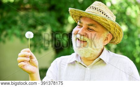 Peace Of Mind. Harmony Of Soul. Peaceful Grandpa Blowing Dandelion. Happy And Carefree Retirement. G