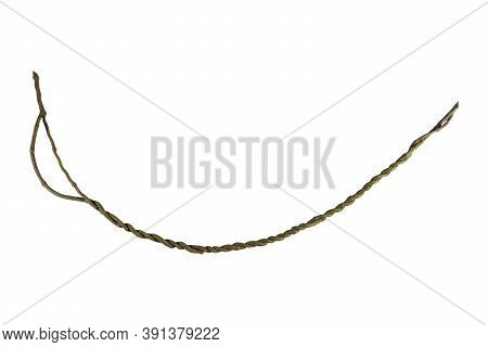 A Big Tree Root Overgrown With Green Moss, Isolated On White Background With Clipping Path Included.
