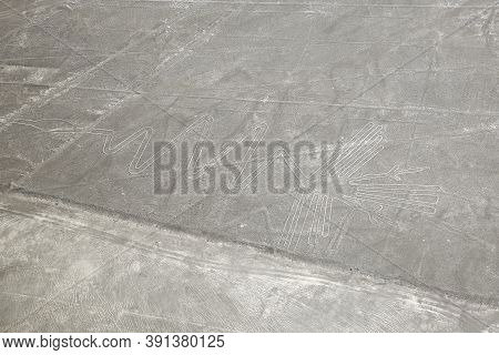 Aerial View Of Nazca Geoglyph The Heron. Nazca, Peru.