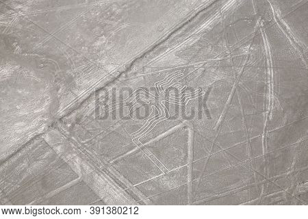 Aerial View Of Nazca Geoglyph The Spider. Nazca, Peru.