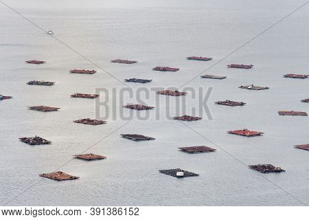 Farms Of Mussels (bateas) In The Ria De Vigo Estuary.