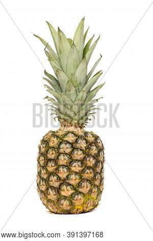 Pineapple Isolated. One Whole Pineapple With Green Leaves Isolated On White Background. Single Whole
