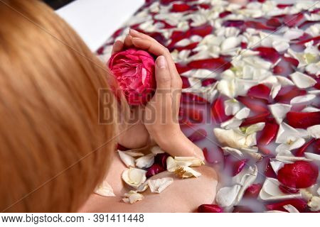 Woman Takes A Bath Full Of Milk And Rose Petals. Close Up Hands With Bud Flower. Top View Without Fa