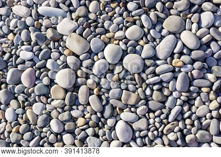 Background Of Smallpebbles Round Seal Stones Texture Pack Material By The Black Sea