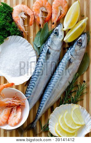 Merenelävät, kala - tuoretta makrillia ja katkarapuja ruokia