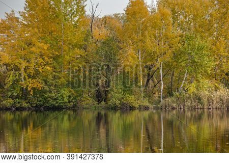Natural Wallpaper From Forest And Lake In Autumn Time, When All Leaves Turn Around In Yellow Color. 