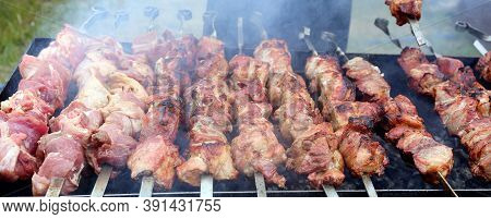 Grilled Beef Cabobs Close-up On An Open Fire.