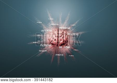 Use Your Potential Is In Your Mind - Personal Development, Mentoring And Motivational Concept. Human