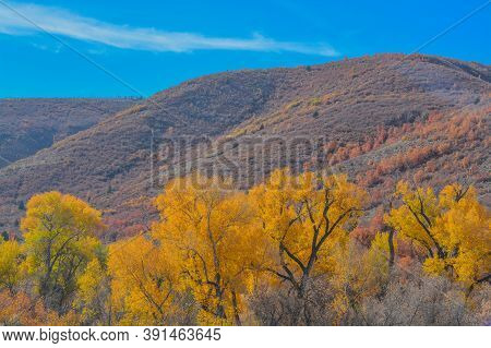 Beautiful Colors Of The Autumn Leaves In The Mountain Range Of Henefer, Utah