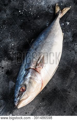 Fresh Whole Raw Japanese Yellowtail. Fish Amberjack. Black Background. Top View