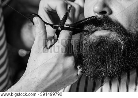 Barber Shearing Beard To Man In Barbershop, Close Up. Vintage Barbershop, Shaving. Beard Styling And