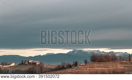 Cold Misty Morning In The Vineyards Of Italy
