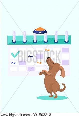 Animal Care, Dog Feeding, Happy Cheerful Brown Puppy Stands On Its Hind Legs And Reaches For The Bow