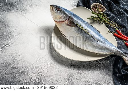 Fresh Whole Japanese Amberjack. Raw Fish Yellowtail. Gray Background. Top View. Copy Space