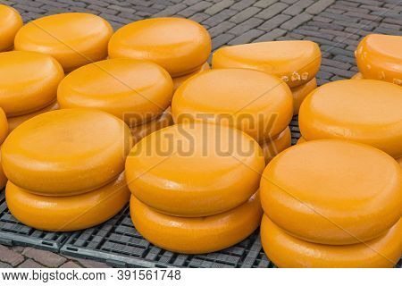 Cheese at traditional cheese market in Alkmaar Netherlands