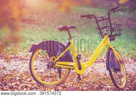 Bike For Bicycle-sharing Is In The City Park