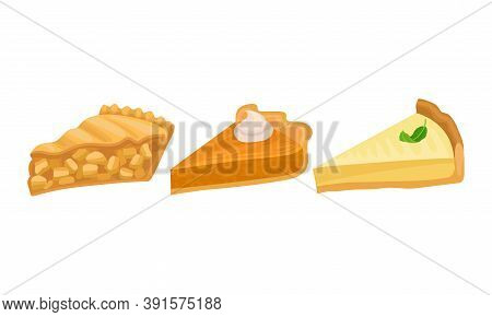 Pieces Of Baked Sweet Pie With Filling And Crust Made Of Shortcrust Pastry Vector Set