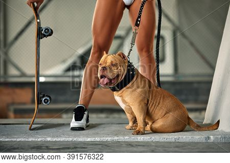 Sexy And Srong Brunette Woman Posing With Bully Dog On City Street, Crop Shot