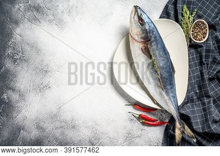 Fresh Whole Japanese Amberjack. Raw Fish Yellowtail. Gray Background. Top View. Copy Space
